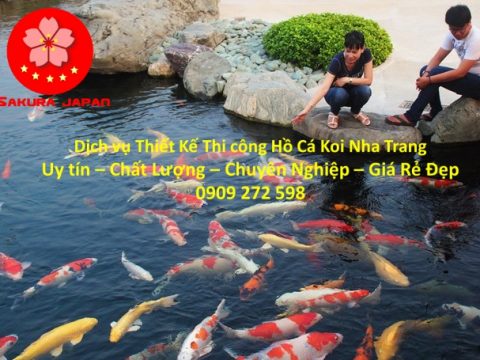 Thi Công Hồ Cá Koi Nha Trang